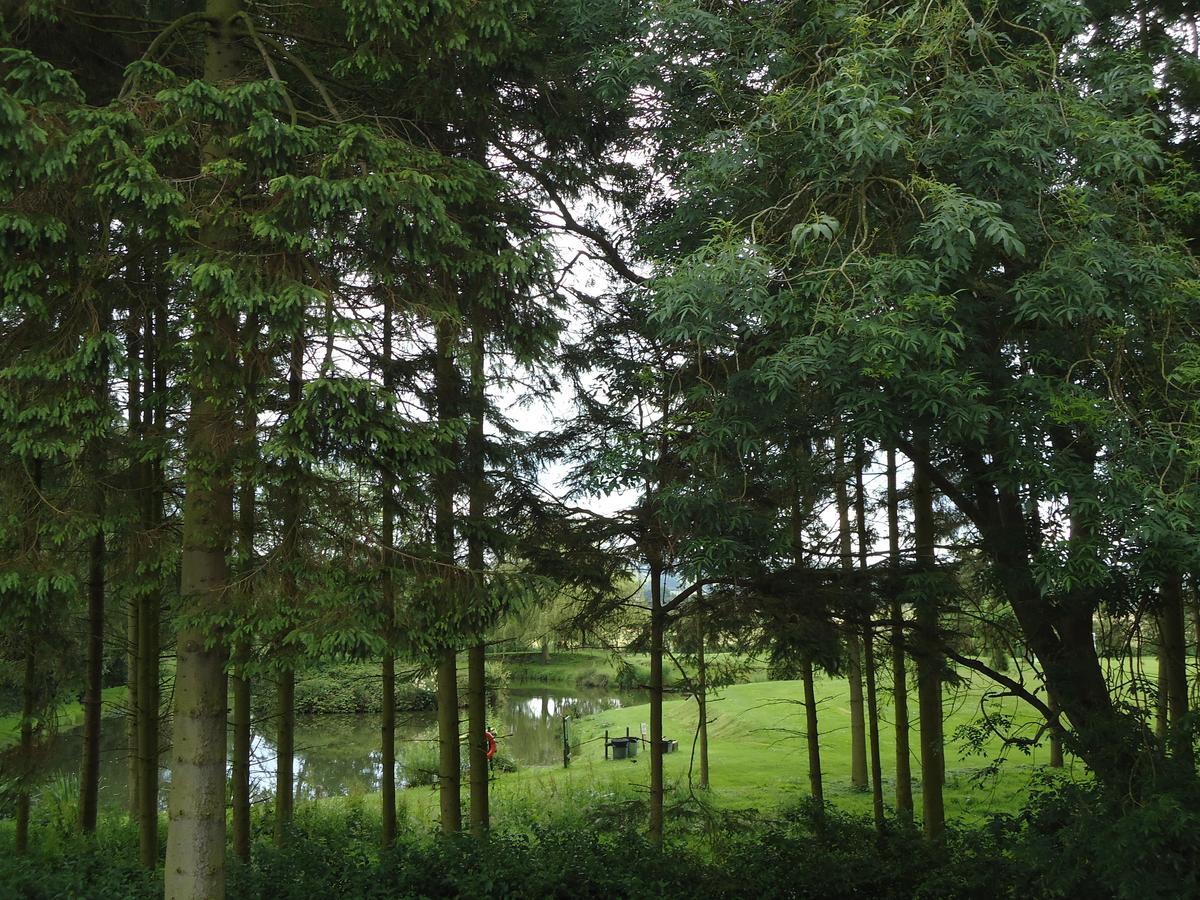 Nettleton Lodge Inn Rom bilde